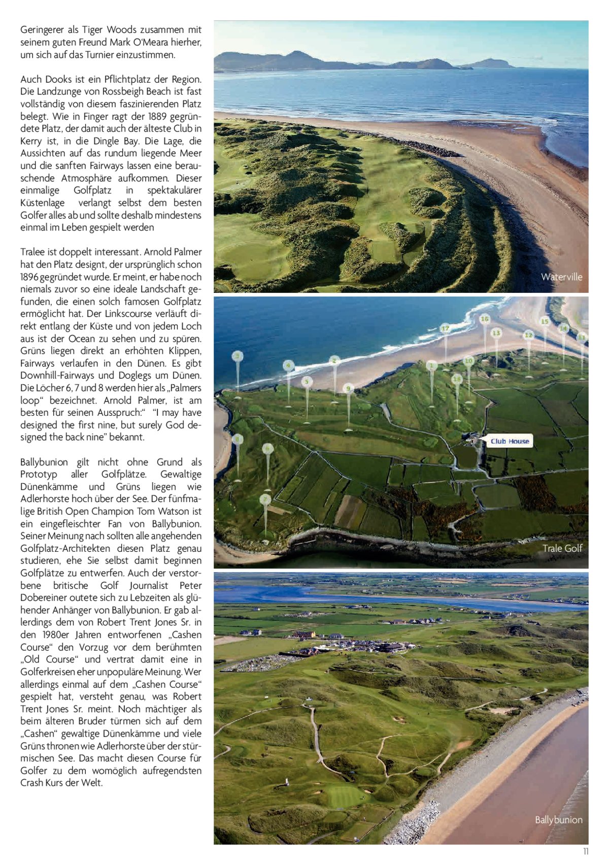 page11