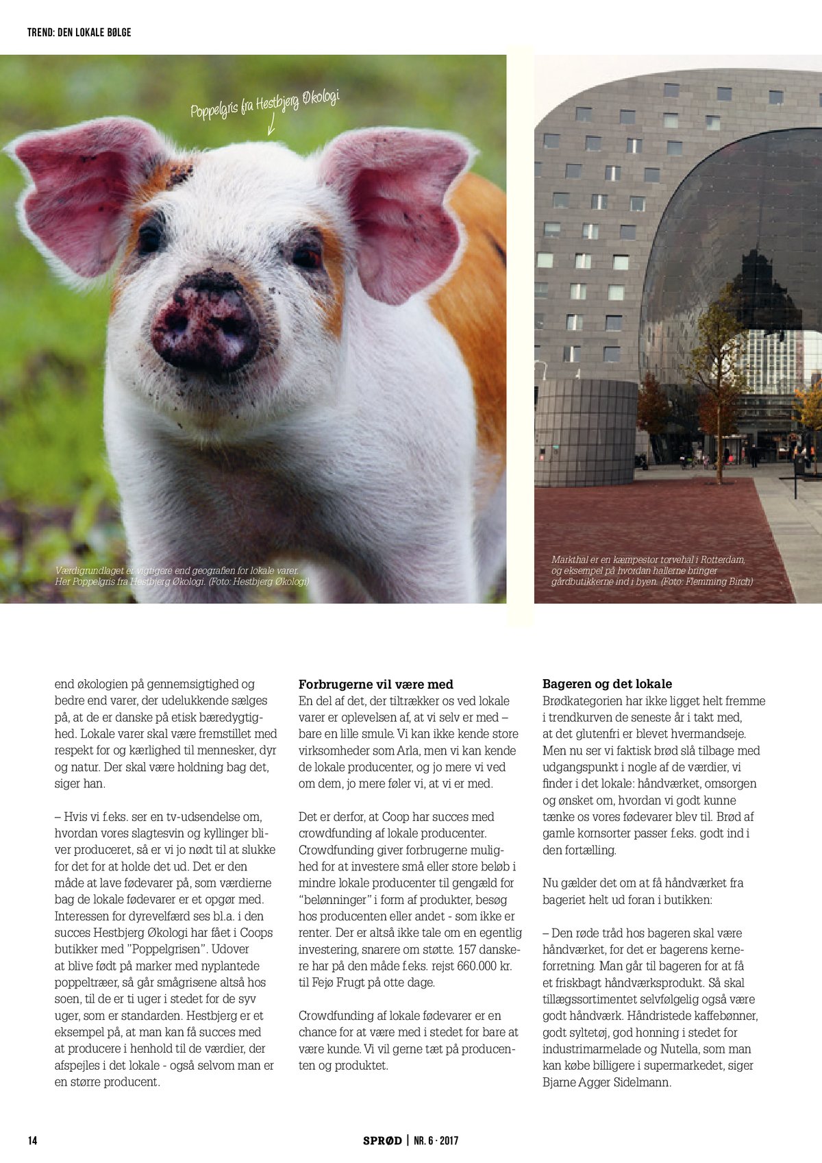 page14