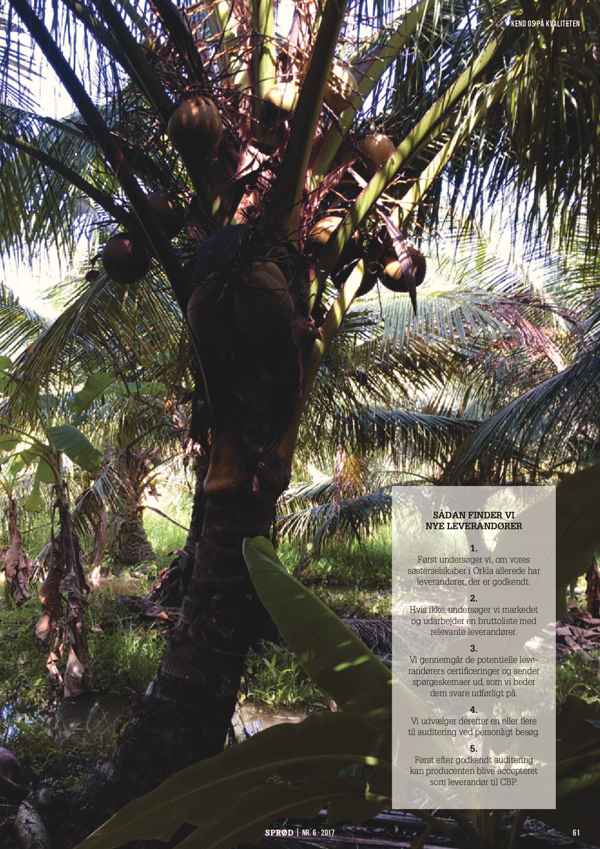 page61